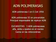 ADN POLIMERASAS