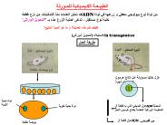 Diapositive 1