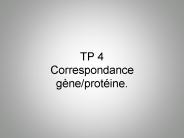 TP 4 Correspondance g