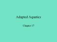 Adapted Aquatics PowerPoint PPT Presentation