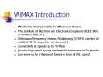 WiMAX Introduction PowerPoint PPT Presentation