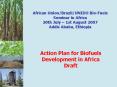 African Union/Brazil/UNIDO Bio-Fuels Seminar in Africa 30th July  PowerPoint PPT Presentation
