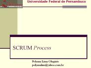 SCRUM Process