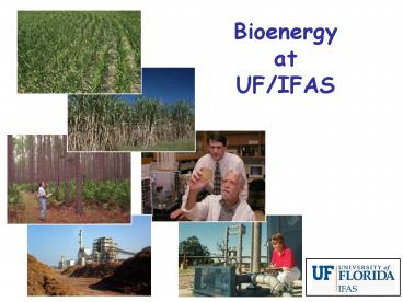 Biomass Energy Research and Extension at UF/IFAS