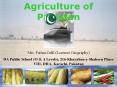 Agriculture of Pakistan PowerPoint PPT Presentation