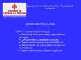 Diapositiva 1 PowerPoint PPT Presentation