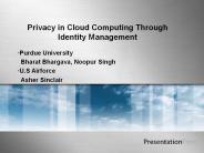 Privacy in Cloud Computing Through Identity Management