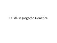 Lei da segrega