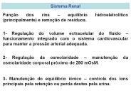Sistema Renal
