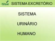 SISTEMA