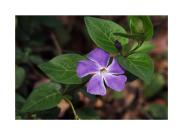 Storia del pensiero economico Modulo A