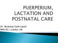 PUERPERIUM, LACTATION AND POSTNATAL CARE PowerPoint PPT Presentation