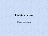 Turbina pelton