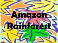 Amazon Rainforest PowerPoint PPT Presentation
