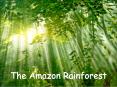 The Amazon Rainforest PowerPoint PPT Presentation