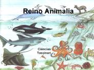 Reino Animalia