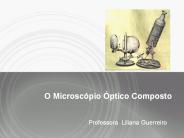 O Microsc