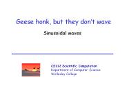 Geese honk, but they don