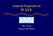 General Properties of WAVE