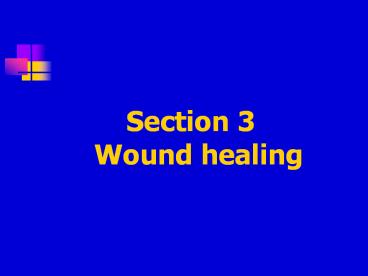 Section 3  Wound healing