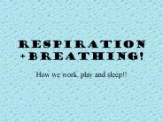 Respiration Breathing!