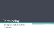 Terminologi