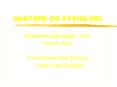 ANATOMI OG FYSIOLOGI PowerPoint PPT Presentation
