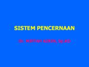 SISTEM PENCERNAAN