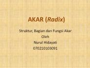 AKAR (Radix)