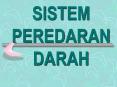 SISTEM PEREDARAN DARAH PowerPoint PPT Presentation