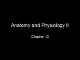 Anatomy and Physiology II PowerPoint PPT Presentation