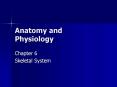 Anatomy and Physiology PowerPoint PPT Presentation