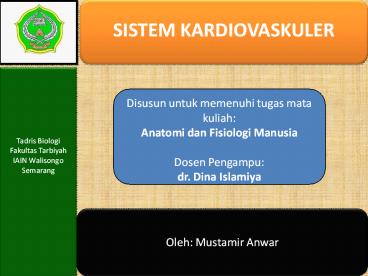 SISTEM KARDIOVASKULER