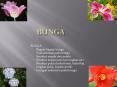 Bunga PowerPoint PPT Presentation