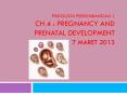 Psikologi Perkembangan 1 Ch 4 : Pregnancy and Prenatal Development 7 Maret 2013 PowerPoint PPT Presentation