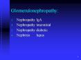 Glomerulonephropathy: PowerPoint PPT Presentation