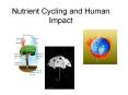 Nutrient Cycling and Human Impact PowerPoint PPT Presentation