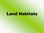 Land Habitats