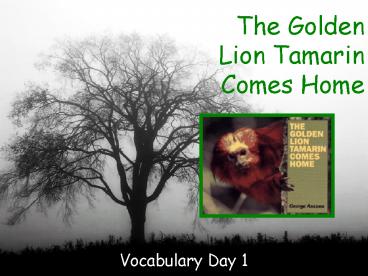 The Golden Lion Tamarin Comes Home