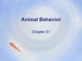 Animal Behavior PowerPoint PPT Presentation