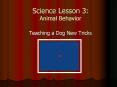 Science Lesson 3: Animal Behavior PowerPoint PPT Presentation