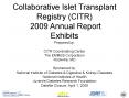 CITR Annual Report Exhibits PowerPoint PPT Presentation