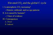 Elevated CO2 and the global C cycle