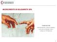 MICROCREDITO DI SOLIDARIETA PowerPoint PPT Presentation