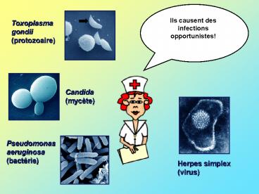 Les infections opportunistes