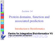 Protein domains, function and associated prediction