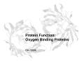 Protein Function: Oxygen Binding Proteins PowerPoint PPT Presentation