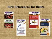 Bird References for Belize