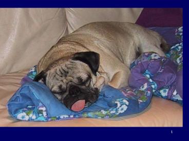 Prescription Drug Abuse