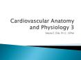 Cardiovascular Anatomy and Physiology 3 PowerPoint PPT Presentation